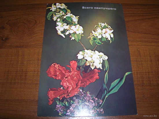 Цветы Композиция Всего наилучшего Польша Чистая