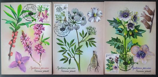 Беларусь 2026 КМ ядовитые растения.