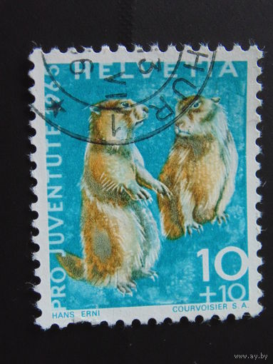 Швейцария 1965 г. Фауна.