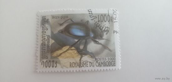 Камбоджа 2000. Жуки