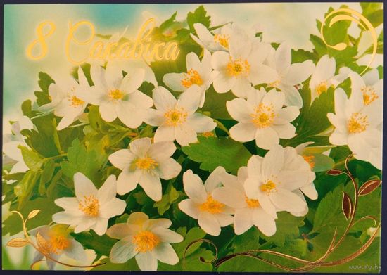 8 Сакавіка. Белорусь. 2017 г.