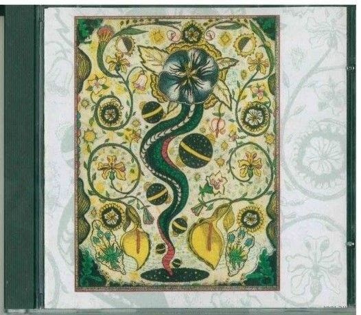 CD Steve Earle - I Feel Alright (1996) Country Rock