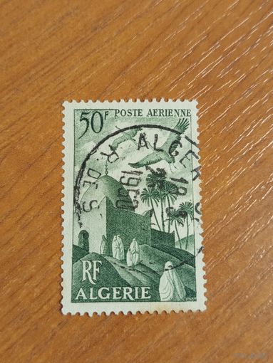 Французская колония Алжир архитектура фауна птицы (4-14)