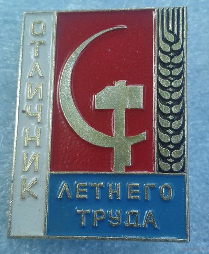 Отличник летнего труда . ВЛКСМ.ССО.