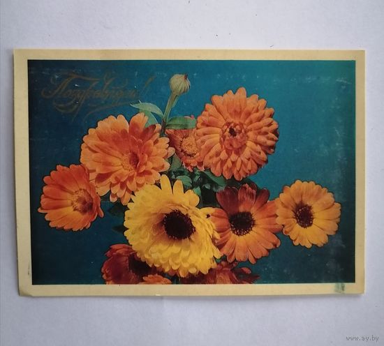 Открытка из СССР, 1977г, подписанная.