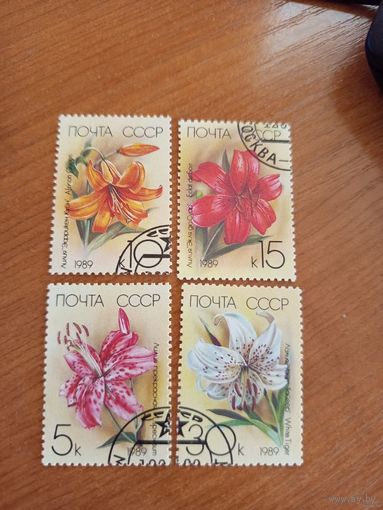 1989 СССР полная серия флора цветы (2-3)