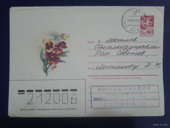 1985 хмк анютины глазки