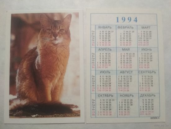 Карманный календарик. Котик.1994 год