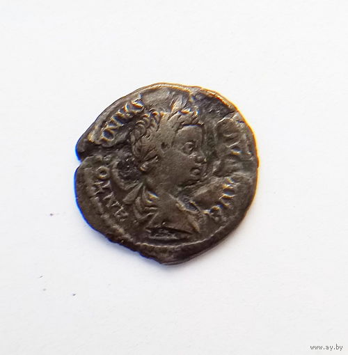 Денарий Каракалла 203 год н.э.Редкость: R1