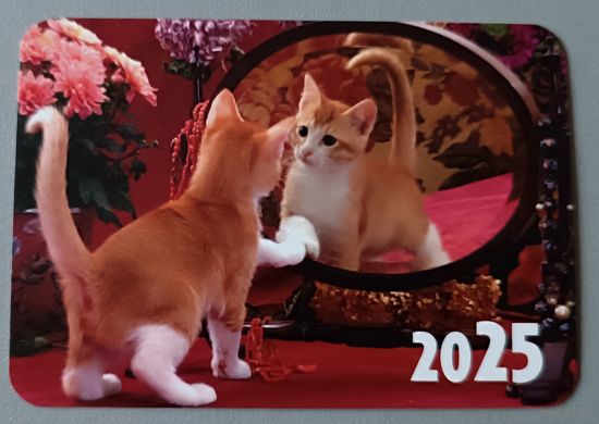 Кот у зеркала. Календарик, 2025, глянец