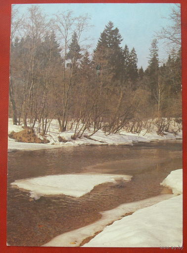 Весна. Чистая. 1990 года. Фото Листопадова. #321.