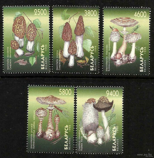 Грибы. Беларусь. 1998. Полная серия 5 марок. Чистые