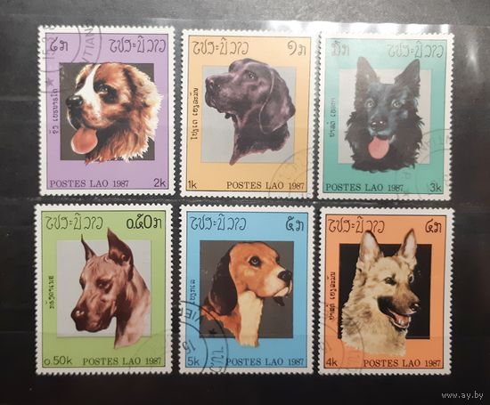 Лаос. 1987 год. Фауна. Собаки (574)