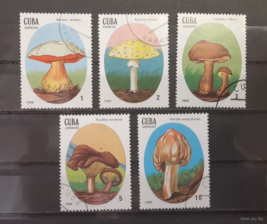 Куба. 1988 год. Флора. Грибы (5 марок)
