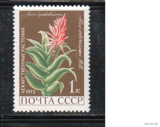 СССР-1972, (Заг.4038)  ** , Лекарственные растения