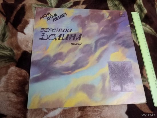 Вероника Долина. Мой дом летает. С чеком продажи.