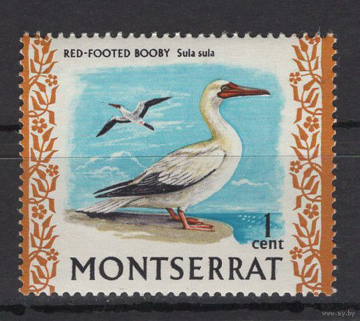 Монтсеррат 1970** Фауна Птицы SG#242