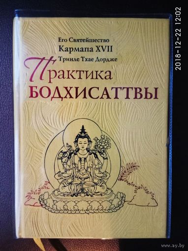 Кармапа XVII. Практика Бодхисаттвы. /Серия: Жемчужины мудрости/ 2013г.