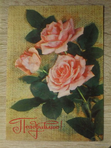 ПОДПИСАННАЯ ОТКРЫТКА СССР. "ПОЗДРАВЛЯЮ". ФОТО. И. ДЕРГИЛЕВА. 1978 ГОД.