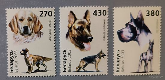 Собаки. Серия, 2003. Беларусь
