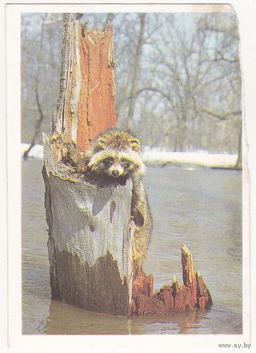 Календарик 1990 (80)