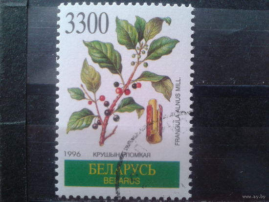 1996 Крушина