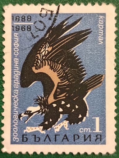 Болгария 1968. Фауна. Хищные птицы. Марка из серии