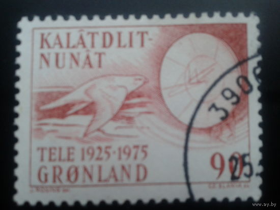 Дания Гренландия 1975 птица