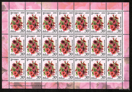 Беларусь. 2008. Стандарт.  Петуния (30р) (з.127-2010) Лист