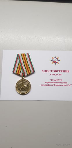 За заслуги в преодолении последствий катастрофы на Чернобыльской АЭС Беларусь*