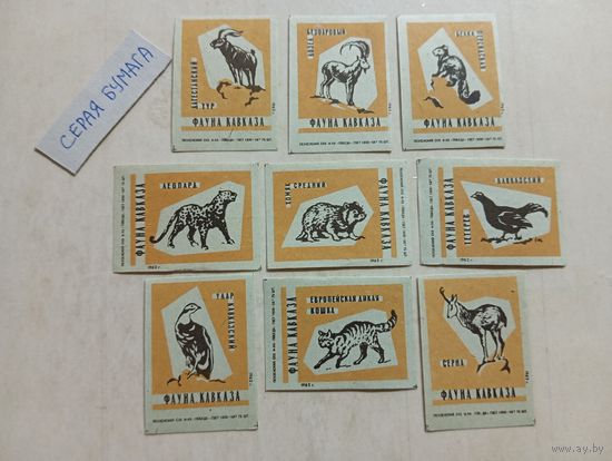 Спичечные этикетки ф.Победа. Фауна Кавказа. 1962 год