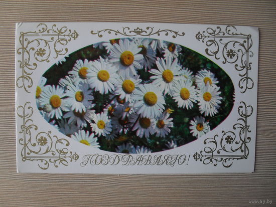 ДВОЙНАЯ ЧИСТАЯ ОТКРЫТКА.СССР. ПОЗДРАВЛЯЮ. 1973 год. фото. Б. РАСКИНА.