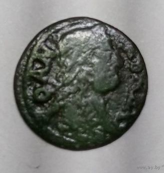 Боратинка 1665