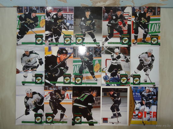 Хоккейные карточки.НХЛ.Dallas Stars-63 карт