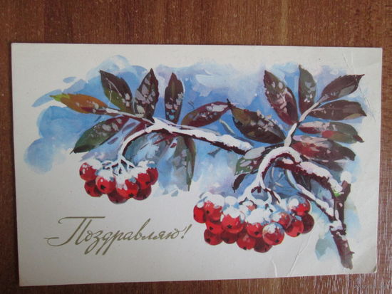Почтовая карточка.1976г.Е.Куртенко.