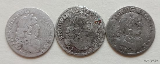 6 грошей, Фридрих Вильгельм I 1640 - 1688 гг