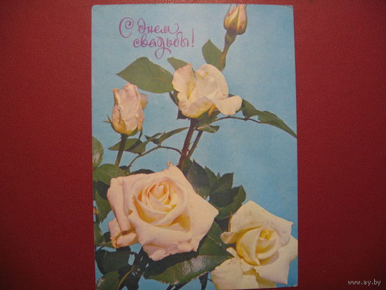 С днём свадьбы (1977 год)