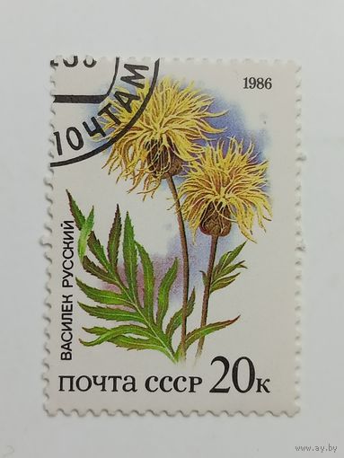 1986 СССР. Растения советских степей. Василек русский