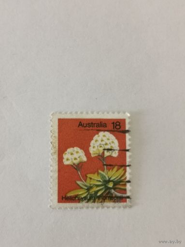 Марка из серии "Растения" - Цмин (Helichrysum thomsonii)