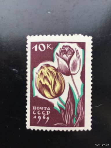 СССР 1965 год. Цветы