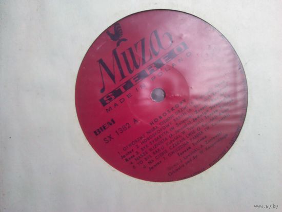 Horoskopy. Muza made in Poland (LP)