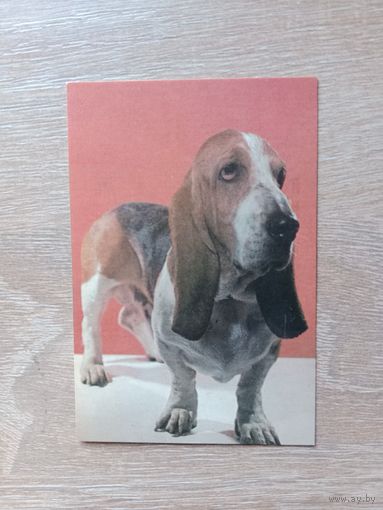 Календарик 1993