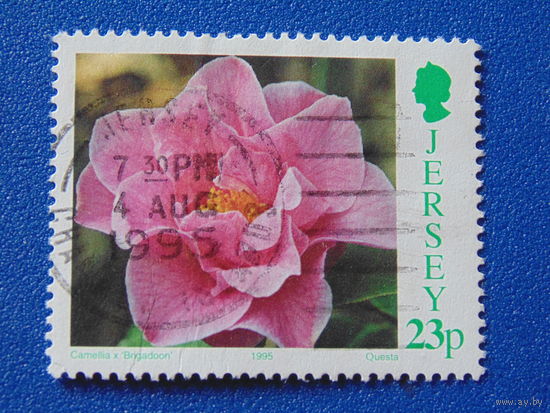 Джерси 1995 г. Цветы.