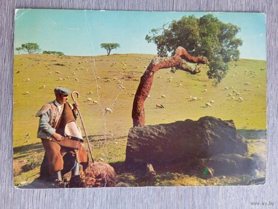 Этнография. Португалия. Пастух. Залом