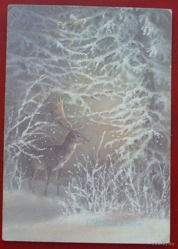 С новым годом! Подписанная. 1988 года. Исаков. 1086.
