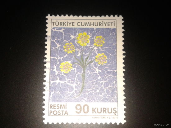 Турция 2010 цветы