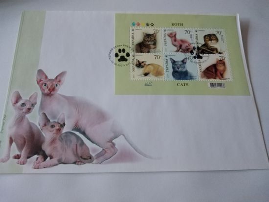 КПД 2007г. Украина. Кошки.