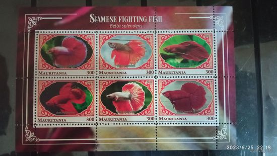 Блок рыбы фауна морская жизнь  MNH