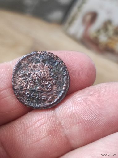 Москва 1729 R2,ноги лошади кривые