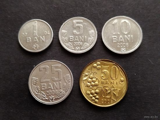 Молдавия 1-5-10-25-50 бани 2004-2008